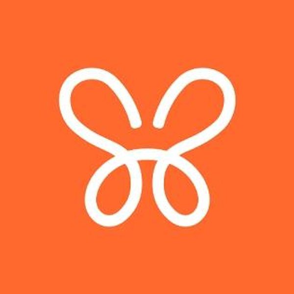 1 Year of Monarch Budget App