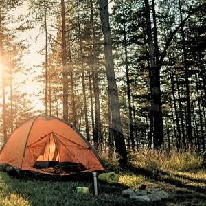 Camping Trip Fund