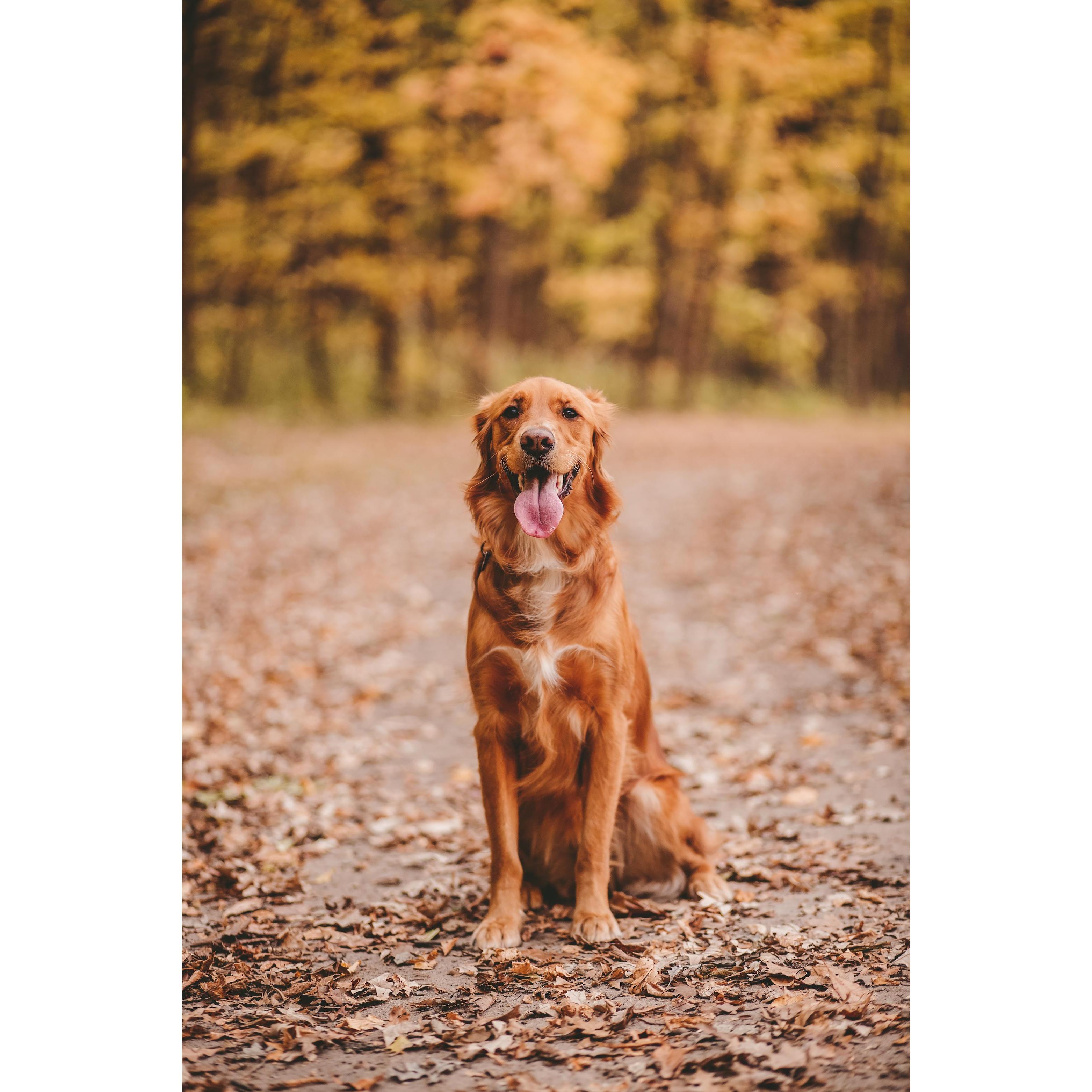 Zoe. October 2020