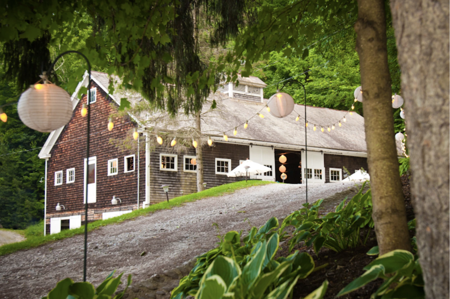 The Wedding Website of Abigail Manning and Christian Stovall
