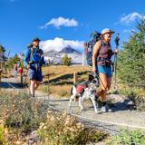 Hiking the Timberline Trail or Silcox Hut Trail