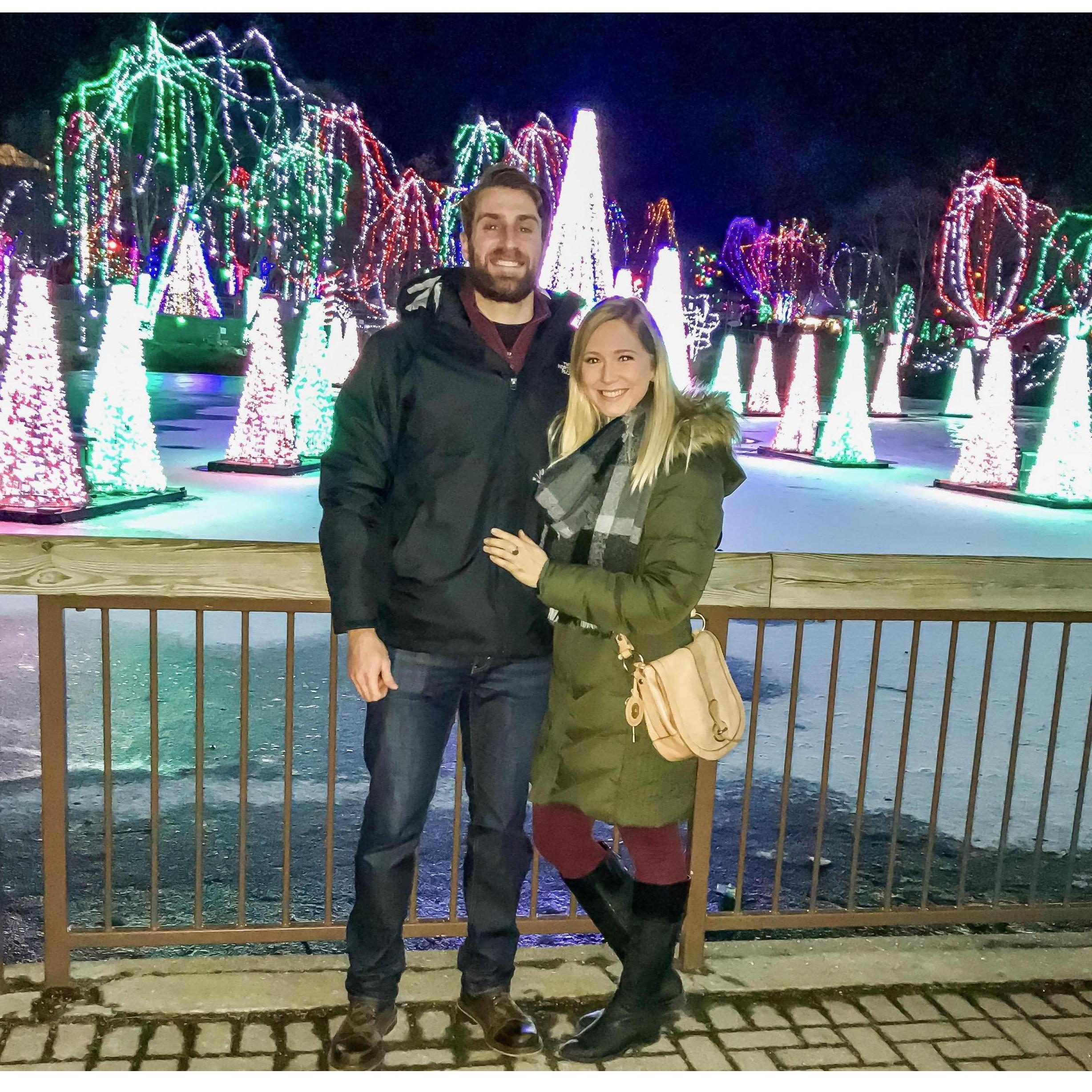 Zoo lights 2016