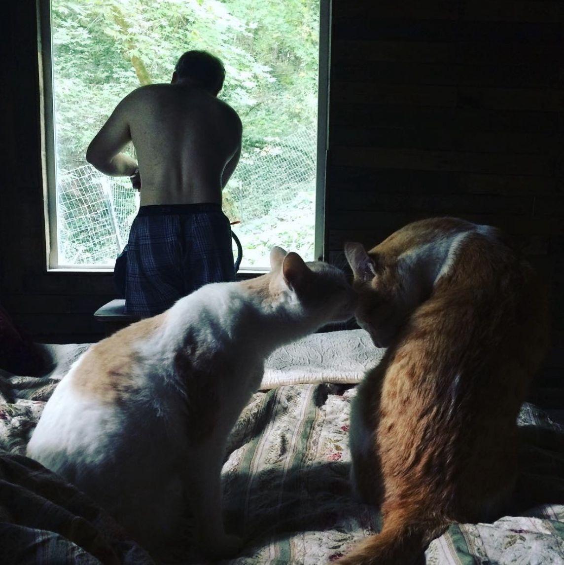An air BNB we got for a wedding had cats. October 14th, 2018.