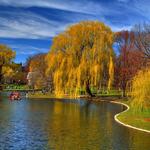 Boston Public Garden