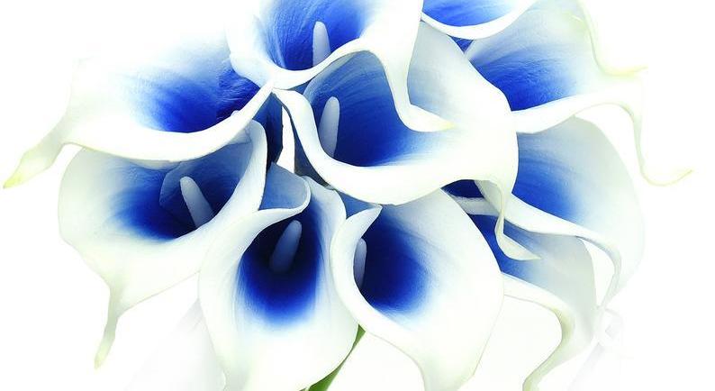 Footer image