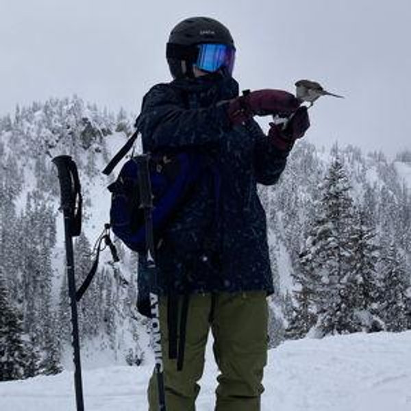 New Skiing Gear