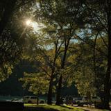Songbird Trail