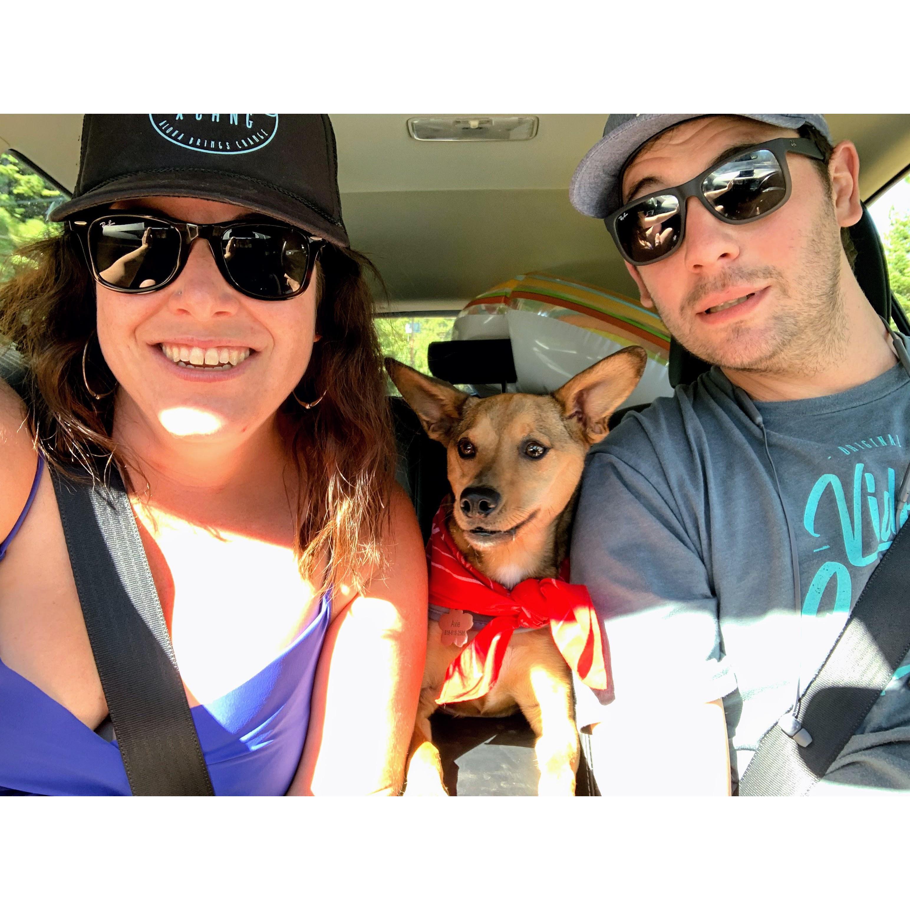 Road trippin' to Lake Tahoe with our trusty sidekick Avie