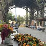 The Vineyard Farmer's Market