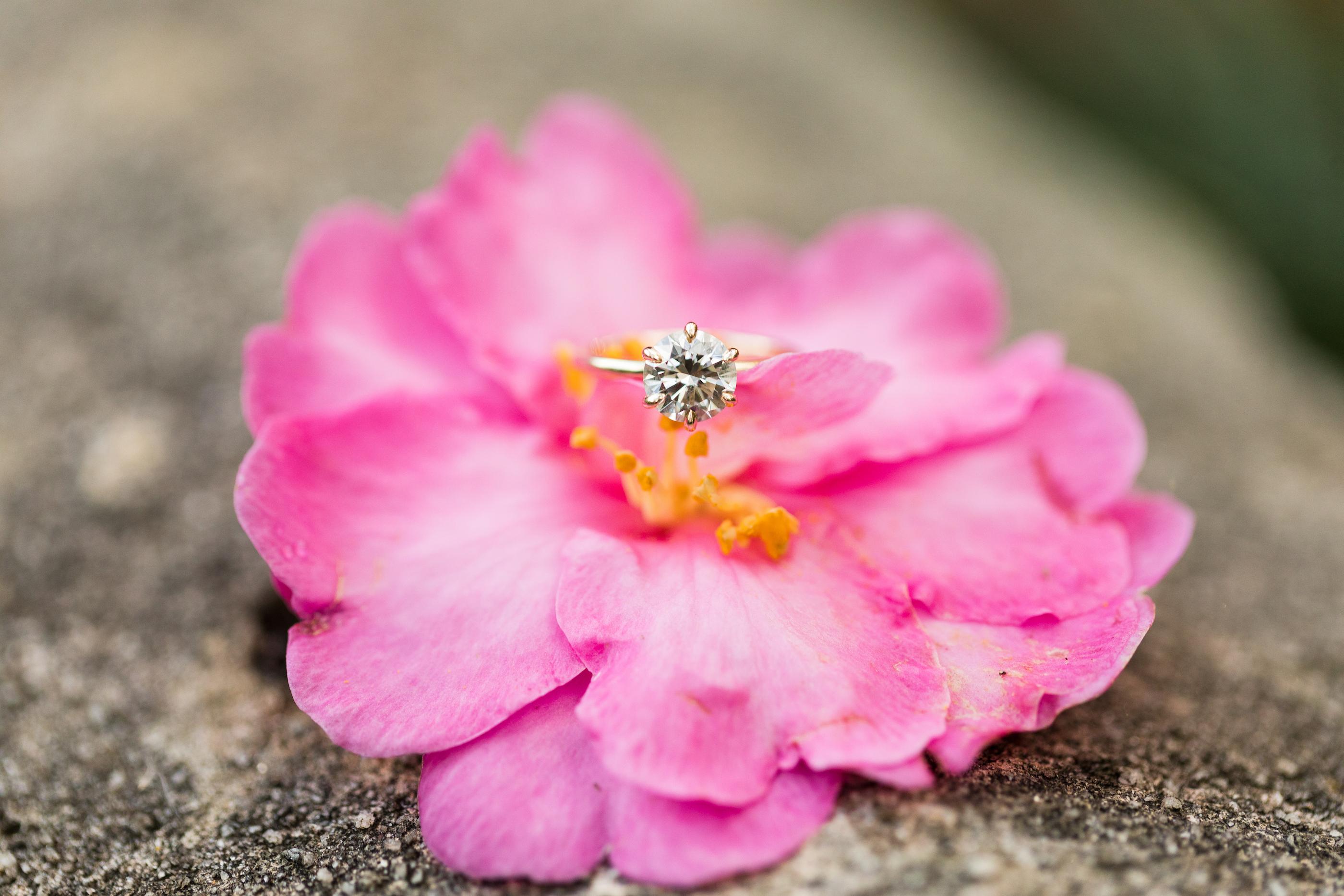 The Wedding Website of Kaitlyn Lightfoot and Chance Overstreet