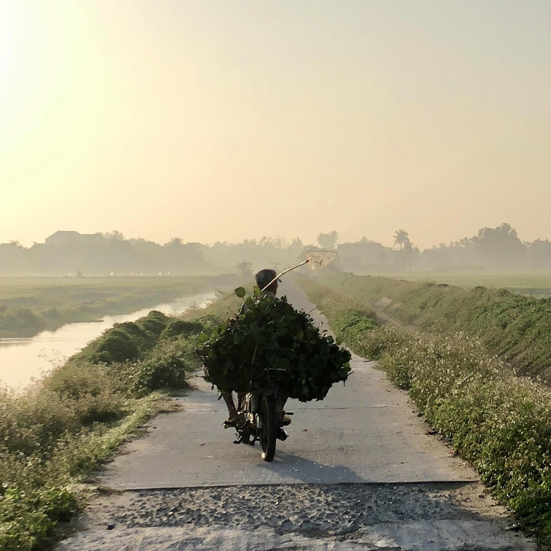 Our morning running path in Hoi An - April 2018