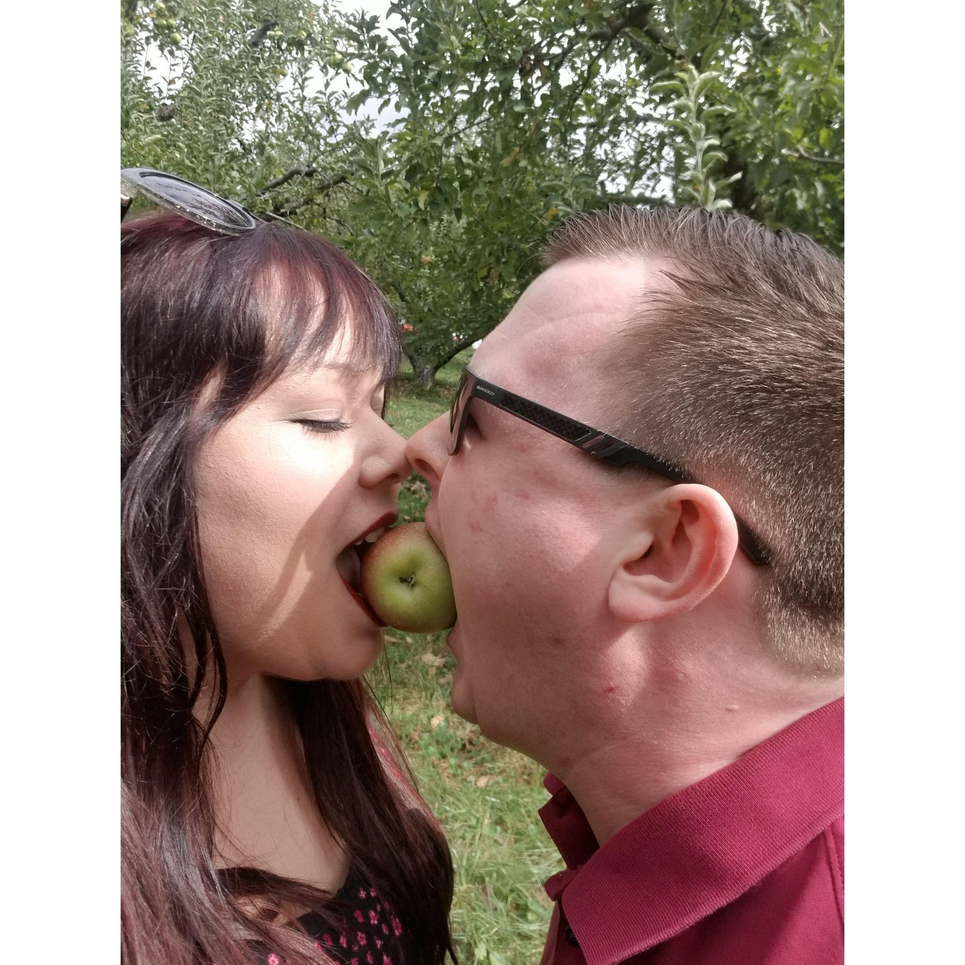Apple Picking