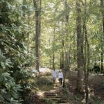 Hiking and Trail Walks