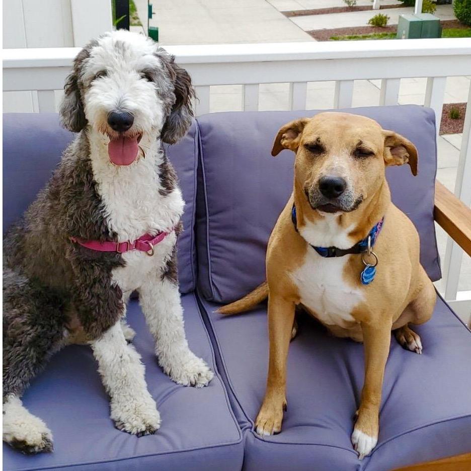 Betsy and Kila <3