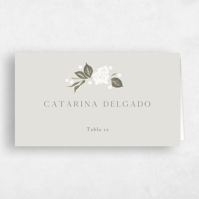 Sage Mist, Green Wedding Place Card - Colette