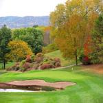 Forest Hills Public Golf
