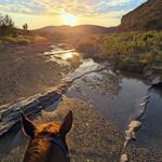 Lajitas Golf Resort - Equestrian Center