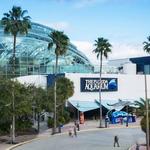 The Florida Aquarium