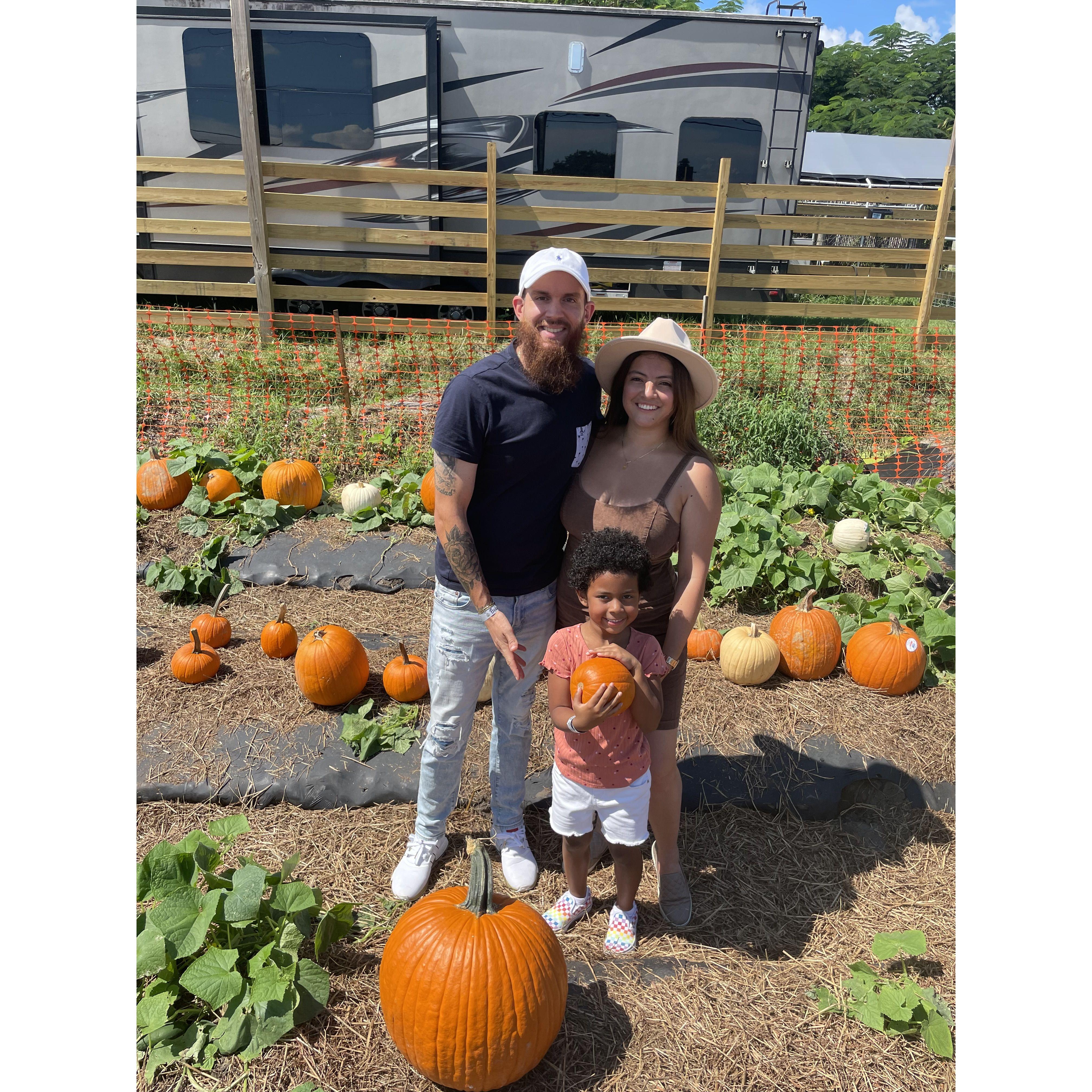 Pumpkin Patching