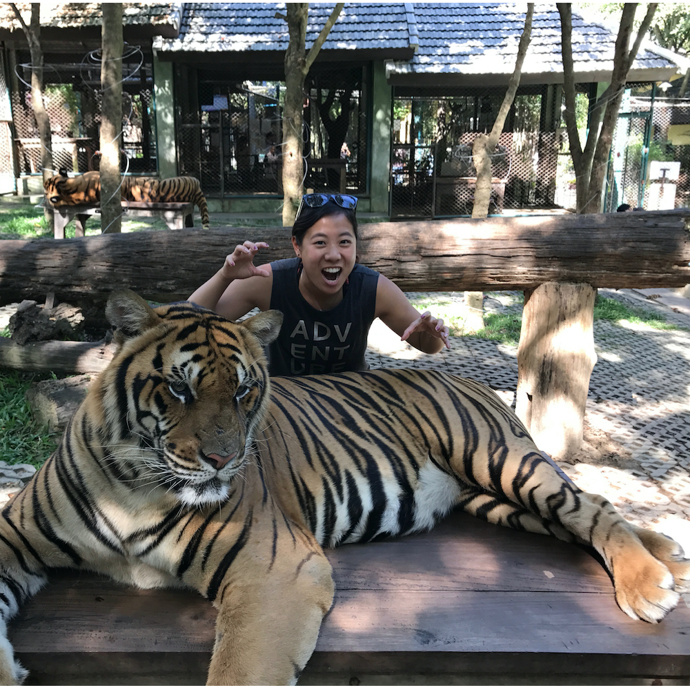 Tiger Kingdom, Chiang Mai
