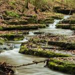 Raven Run Nature Sanctuary