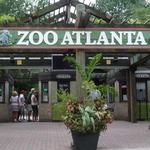 Zoo Atlanta