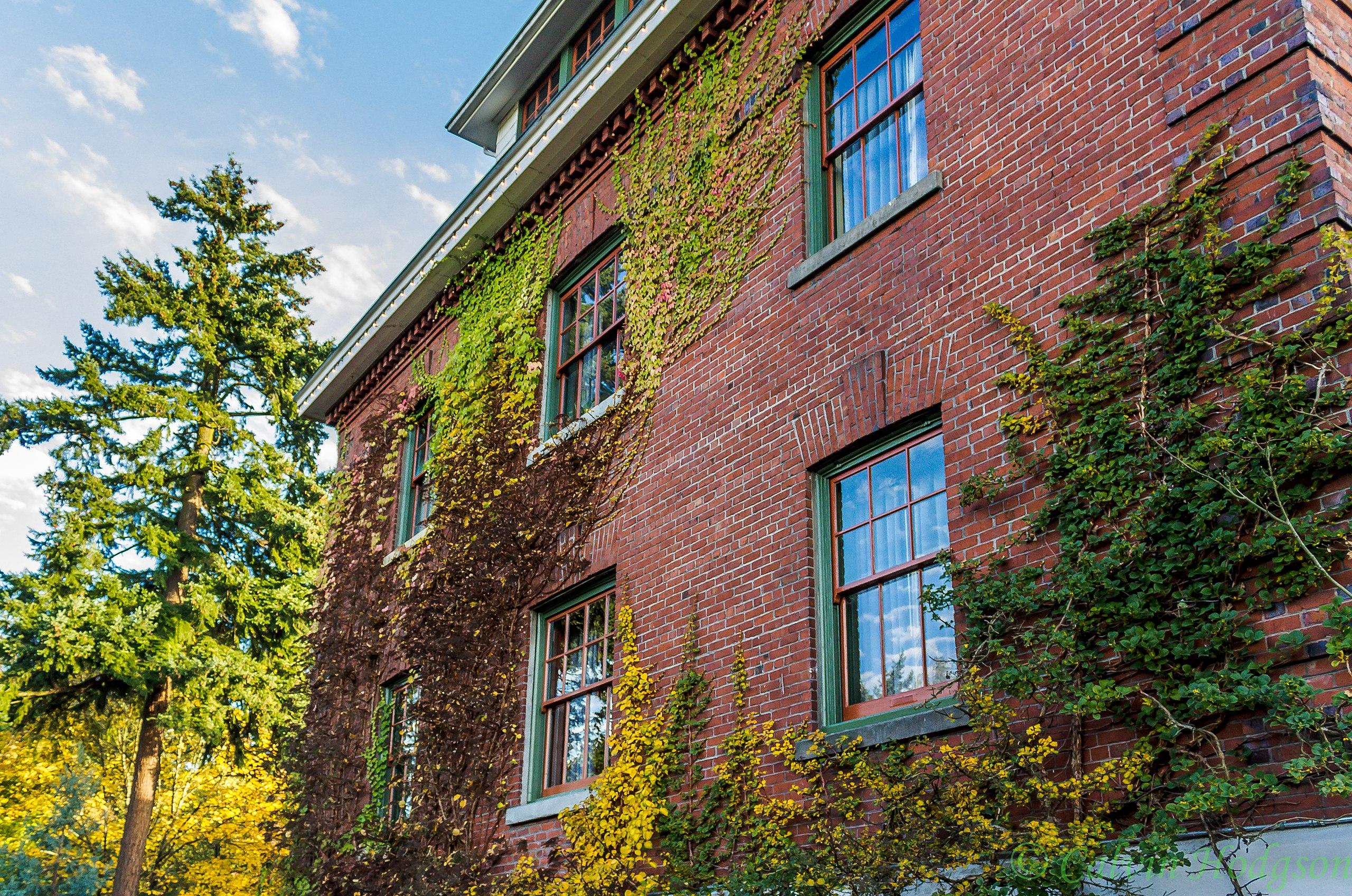 The Wedding Website of Emily Burleson and Jake Williams