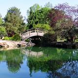 Mizumoto Japanese Stroll Garden