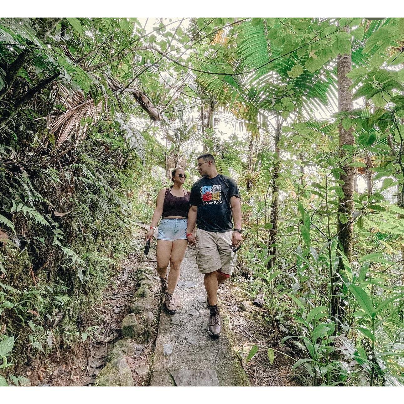 El Yunque Rainforest, Puerto Rico