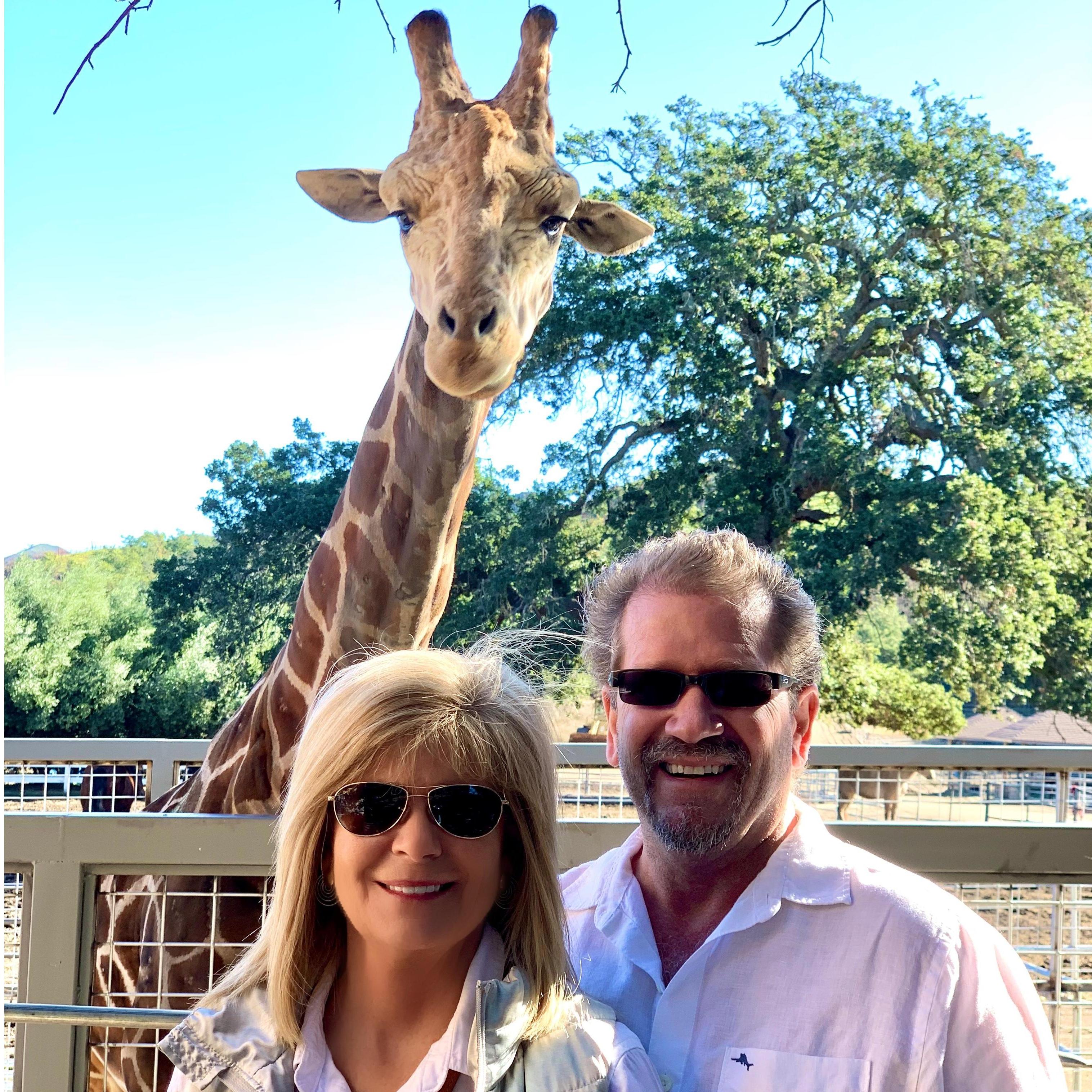 Photo bombed by Stanley at the Malibu Wine Safari in Malibu California.