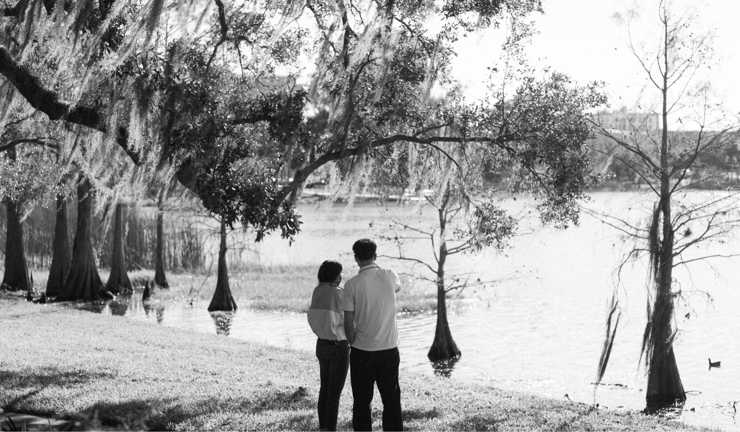 The Wedding Website of Ngaio Warrington and Philip Taylor