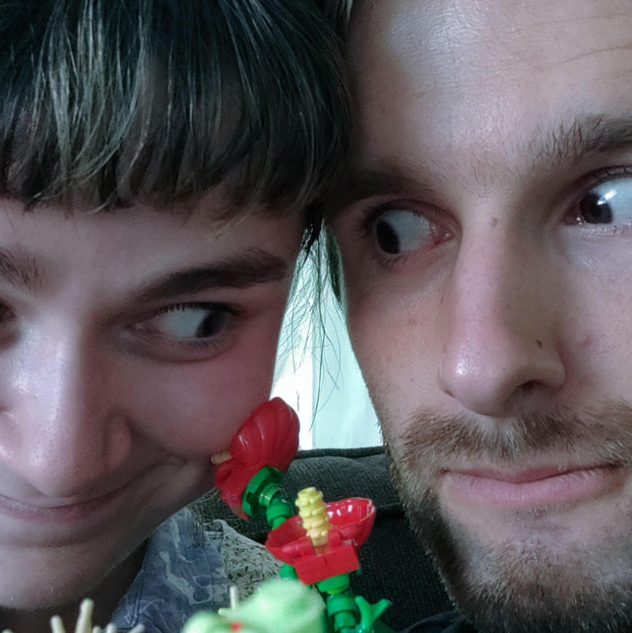 Sharing Our Love For LEGO Botanicals