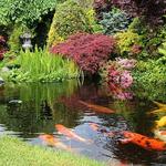 Japanese Friendship Garden
