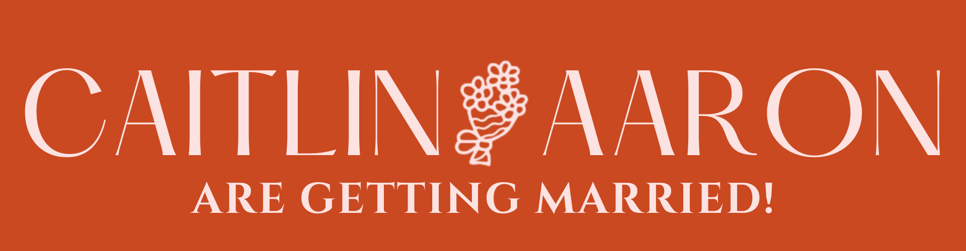The Wedding Website of Caitlin Krisko and Aaron Austin