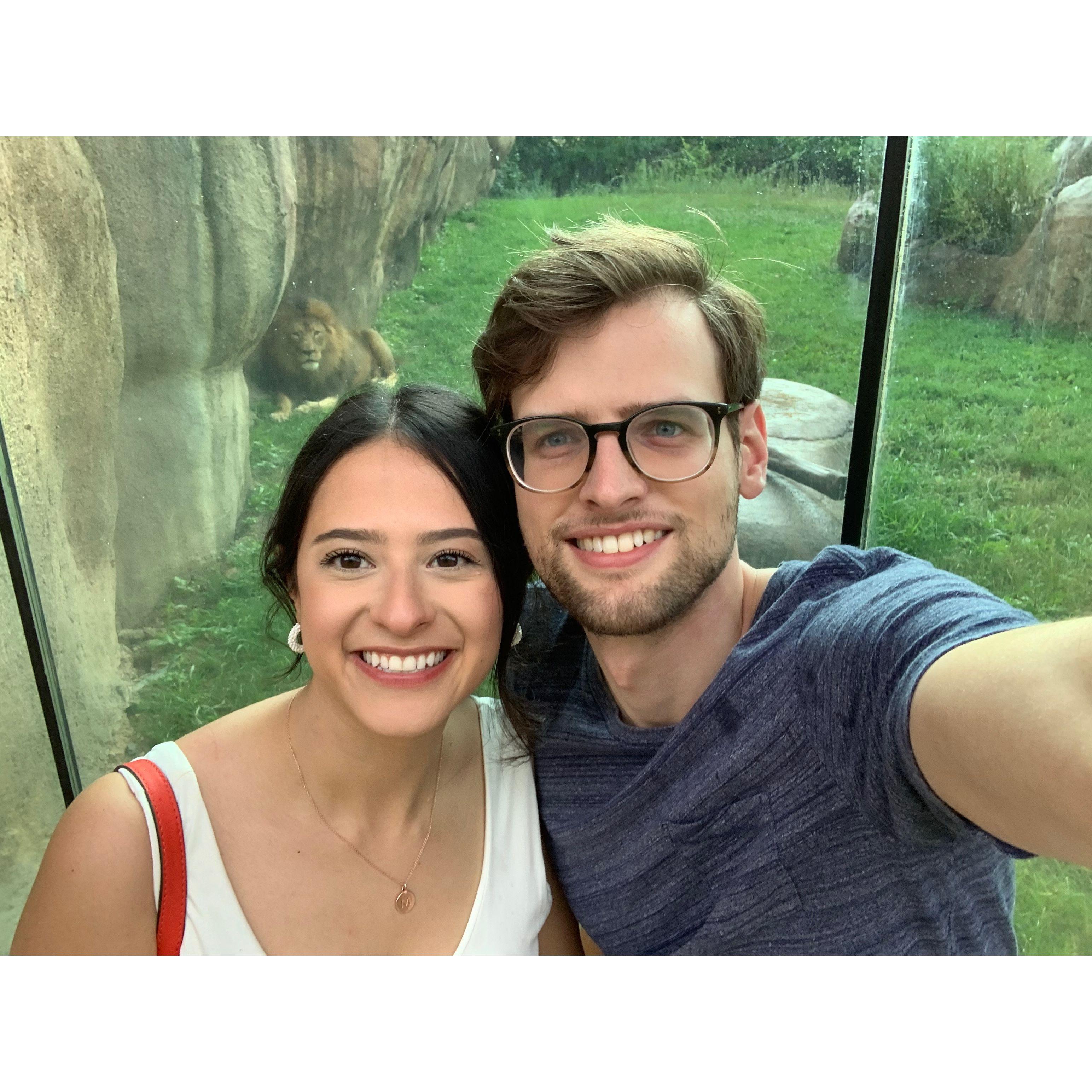 One of our favorite places to visit together is the Zoo! We loved the Peoria Zoo and became rather fond of this lion.