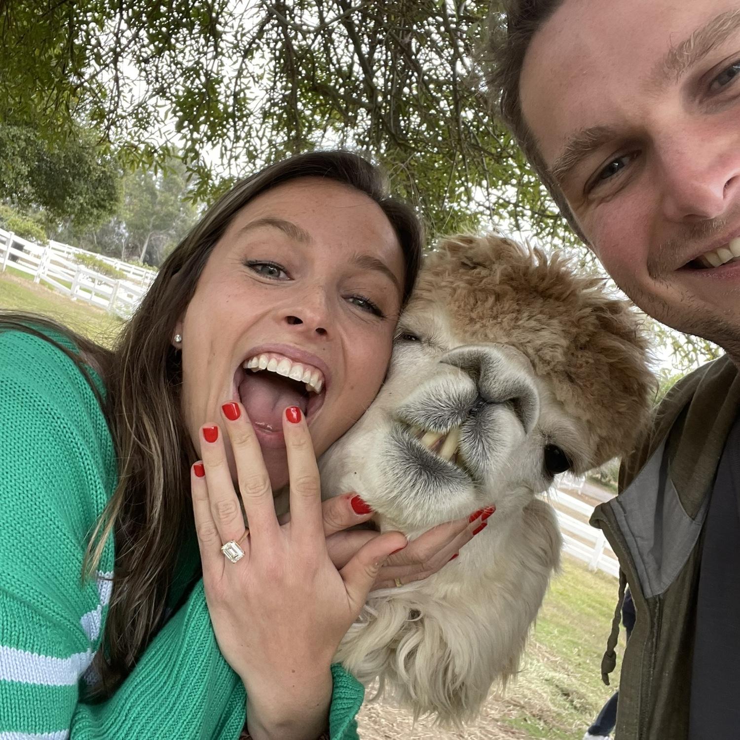 The day that got us here!! Chris surprised the crap out of Lauren by proposing at an Alpaca farm while on vacation in Santa Barbara. The alpaca is our ring bearer, btw.