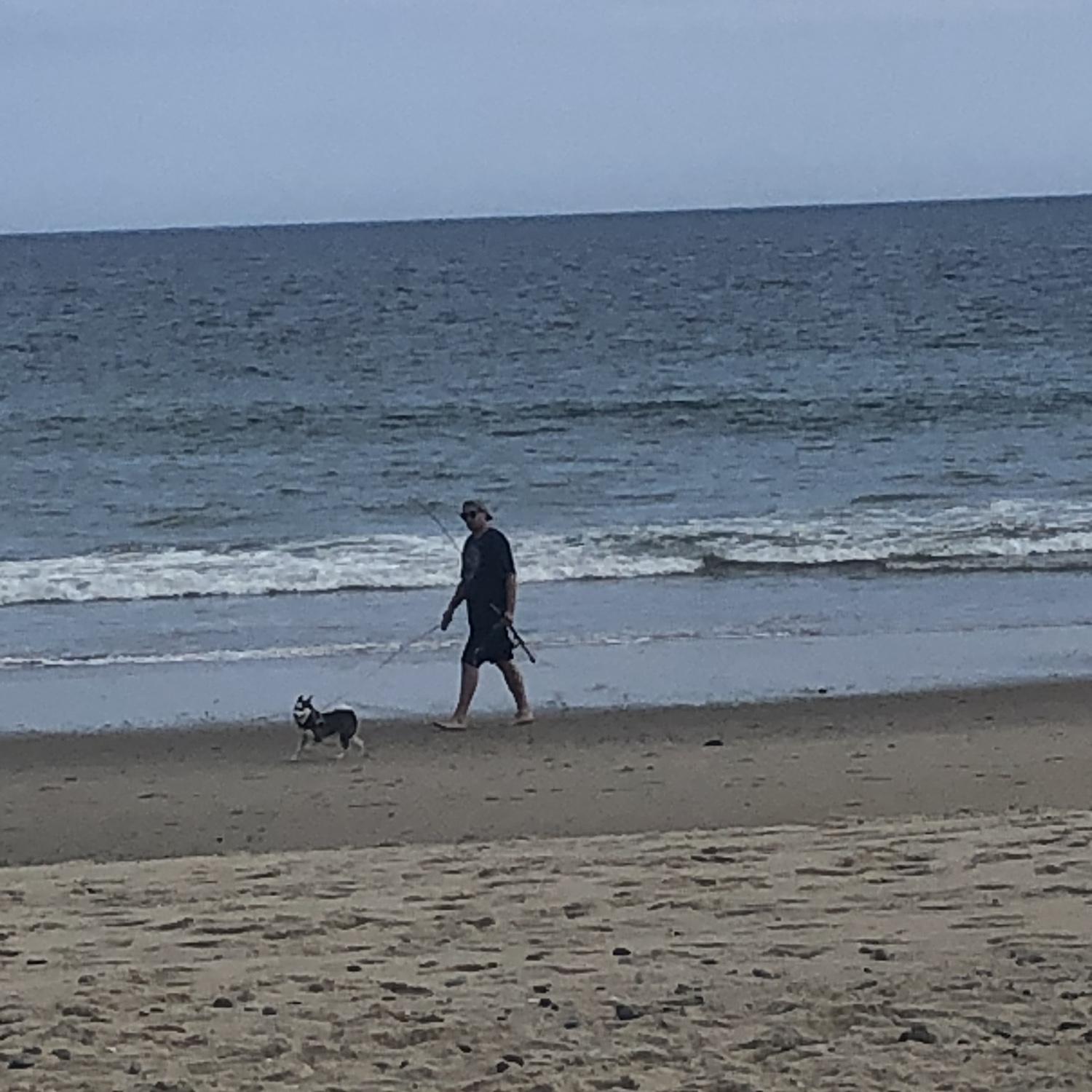 beachcomber wellfleet