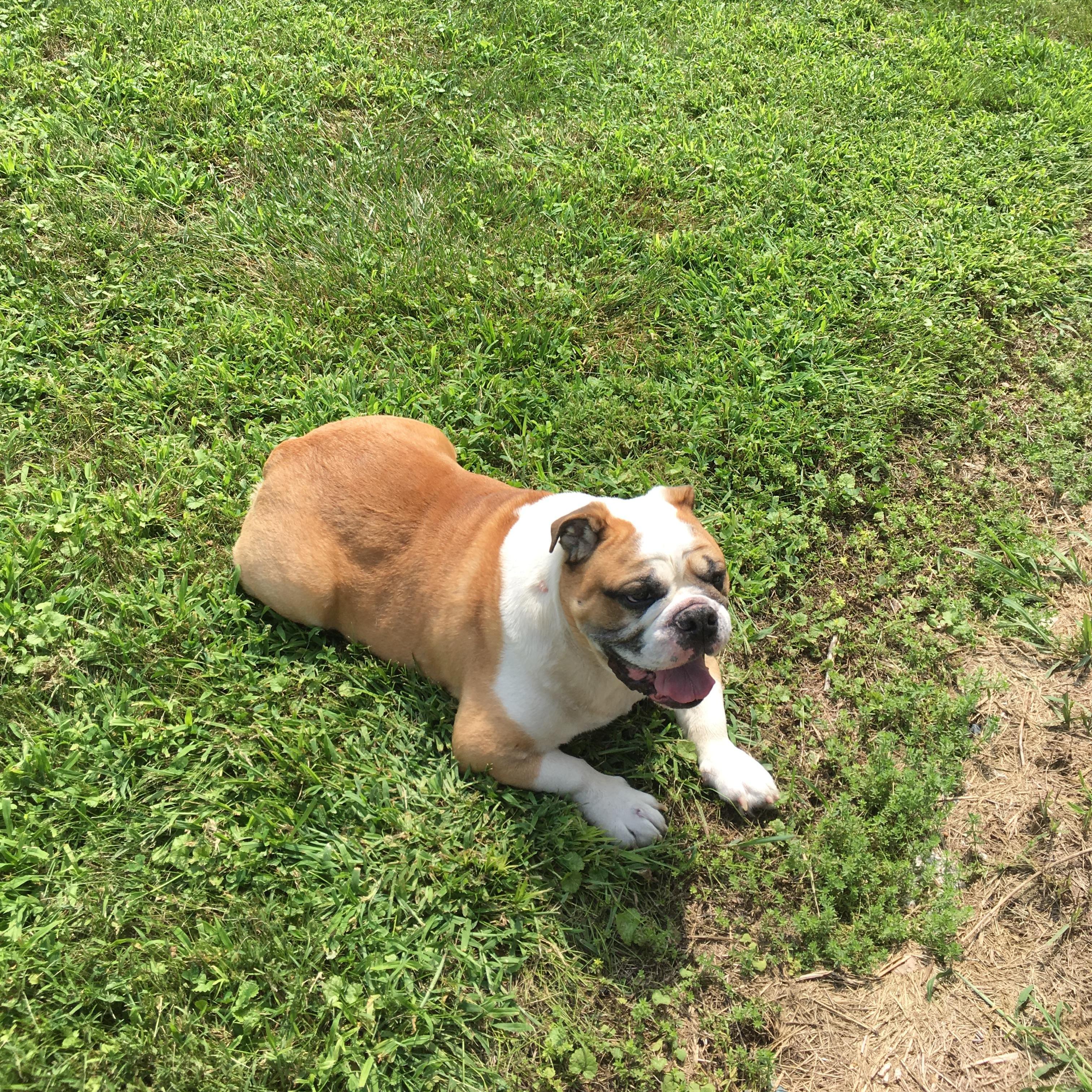 Summer Bubba