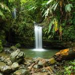 El Yunque National Forest