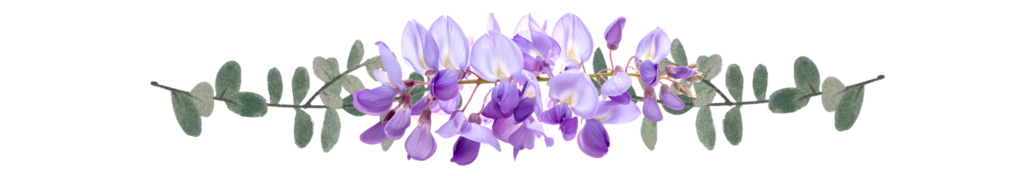 The Wedding Website of Jen King and Joe DaSilva