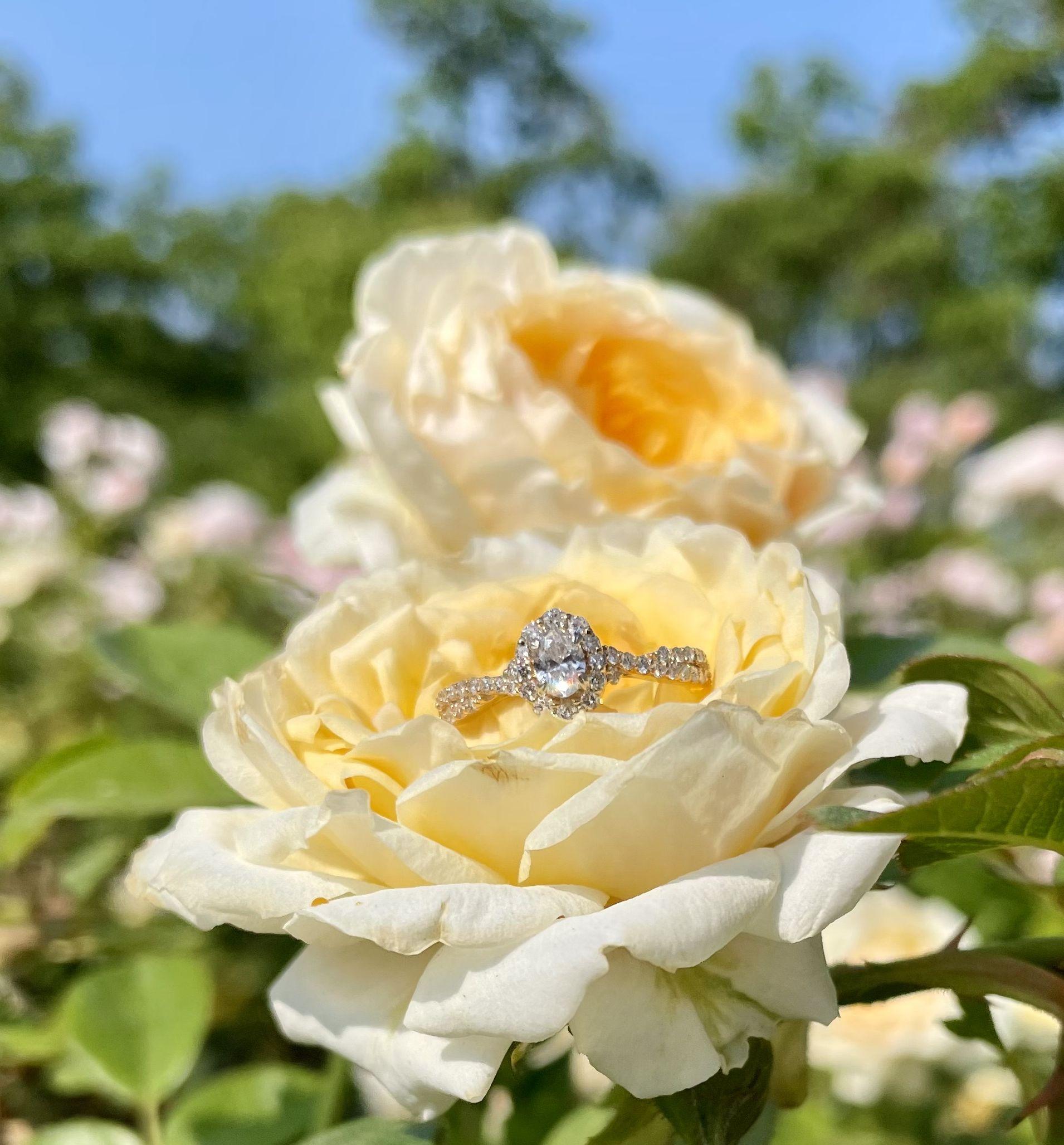 The Wedding Website of Victoria Lorusso and Tara Loomis