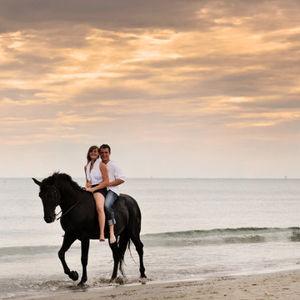 Horseback Riding On Our Honeymoon