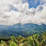 El Yunque National Forest