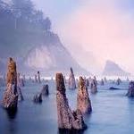 Oregon Coast - Neskowin Beach State Park