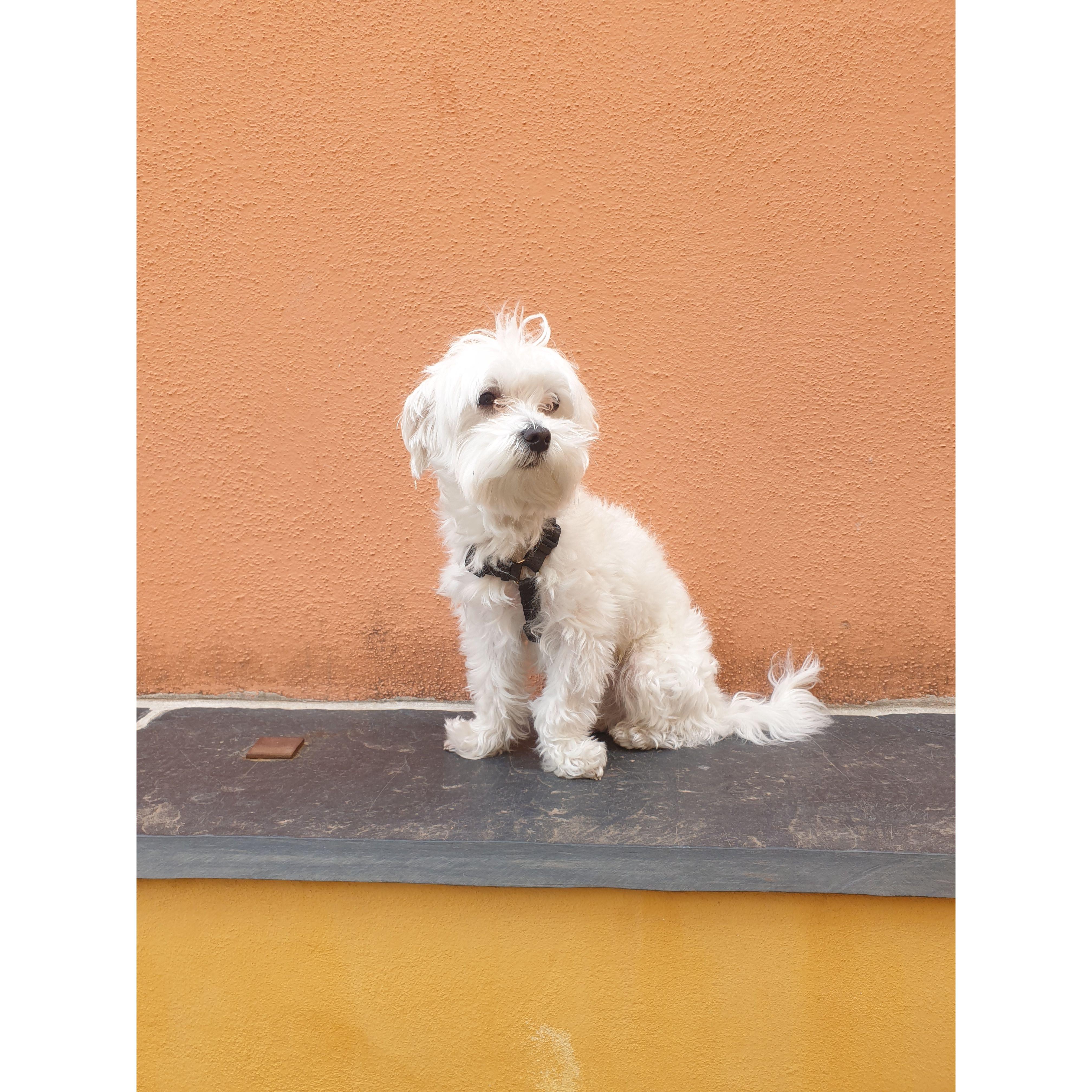 Oscar Liu Herzog Le Clézio in Menton, France! {3 May 2024}