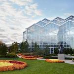 Frederik Meijer Gardens & Sculpture Park