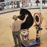 Clark's Bears