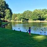Freedom Park