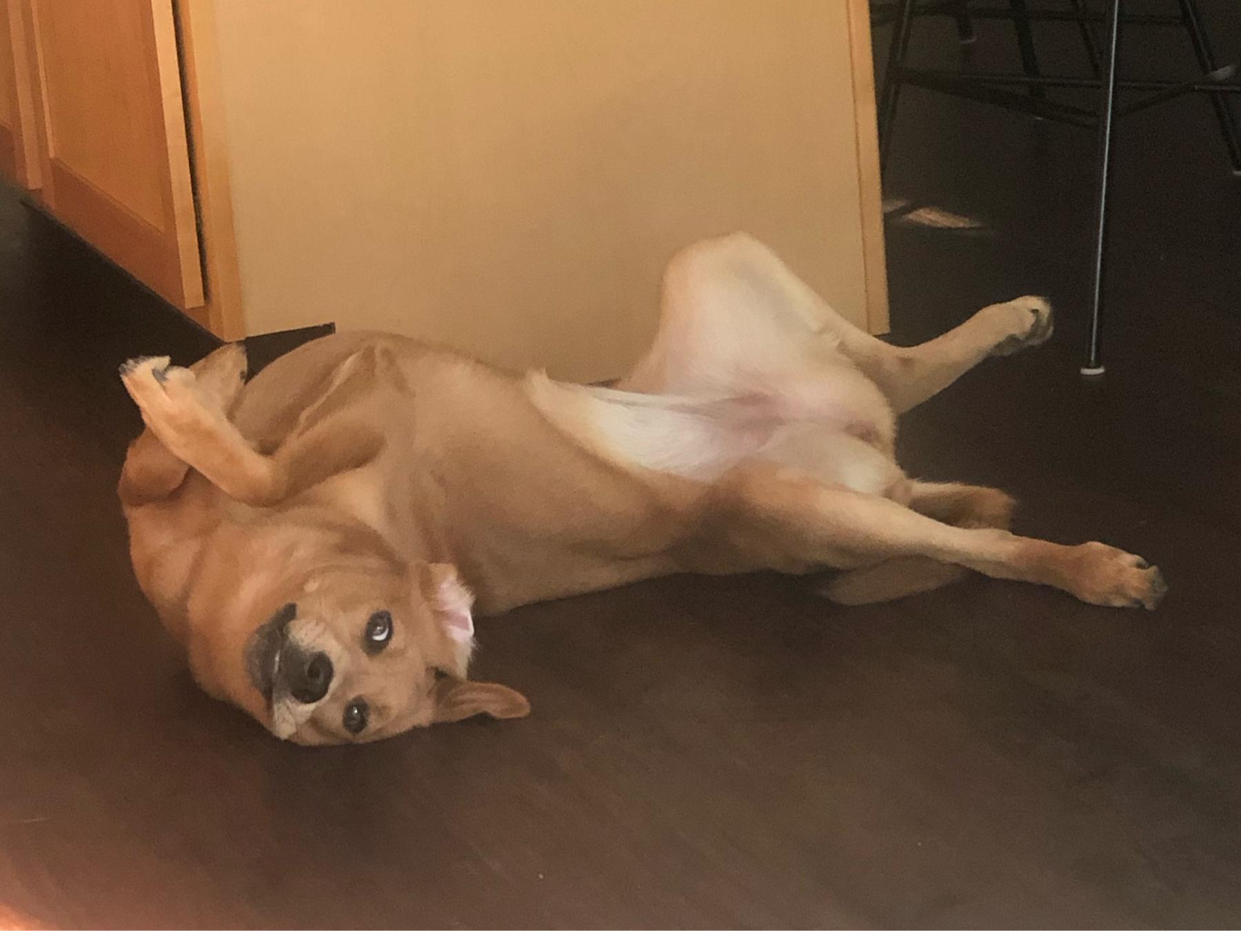 bc30af97-41d6-4950-91dd-39e484f8a1dd