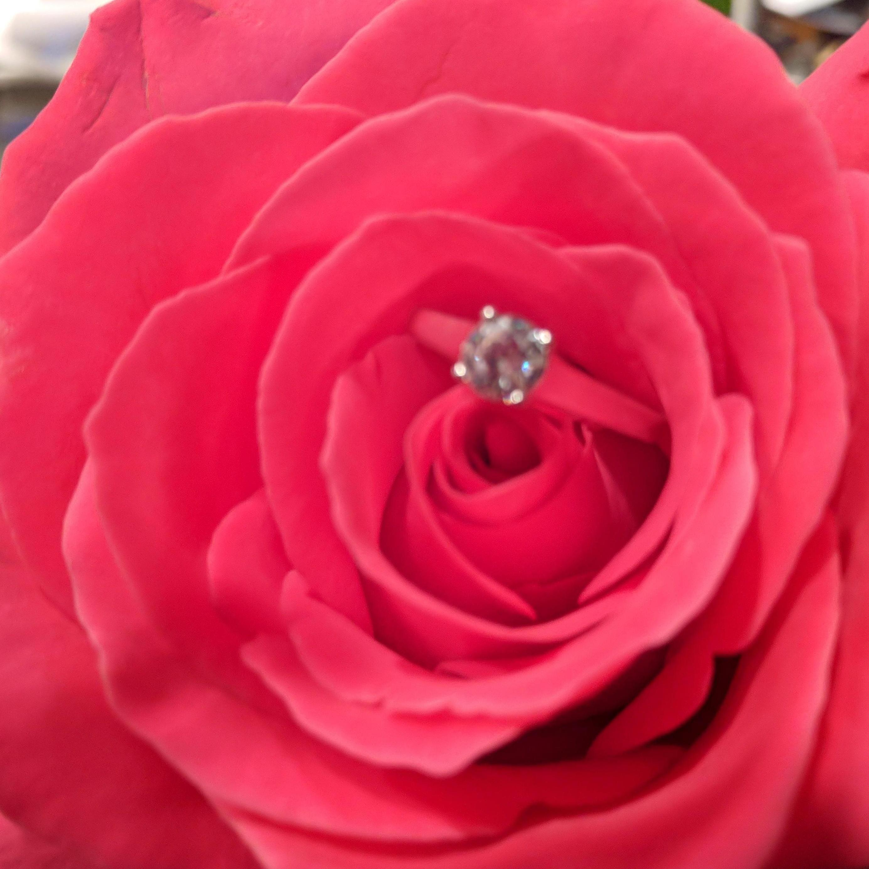 The night he proposed!